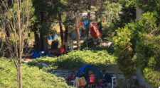 <strong>Why do some legislators want encampments to return?</strong>